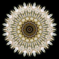 dandy_kaleidoscope.jpg (193457 bytes)