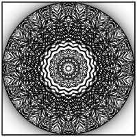 fir_kaleidoscope.jpg (232618 bytes)